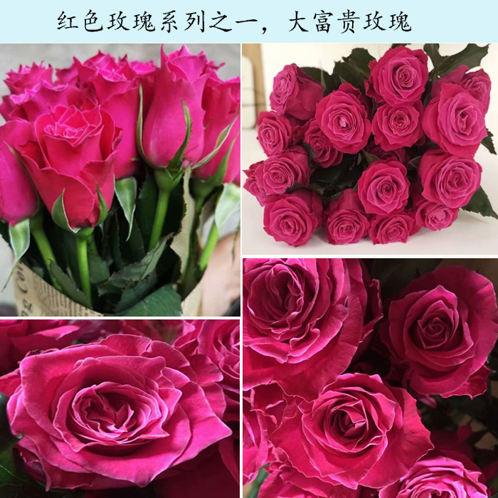 大富贵,雍容大气