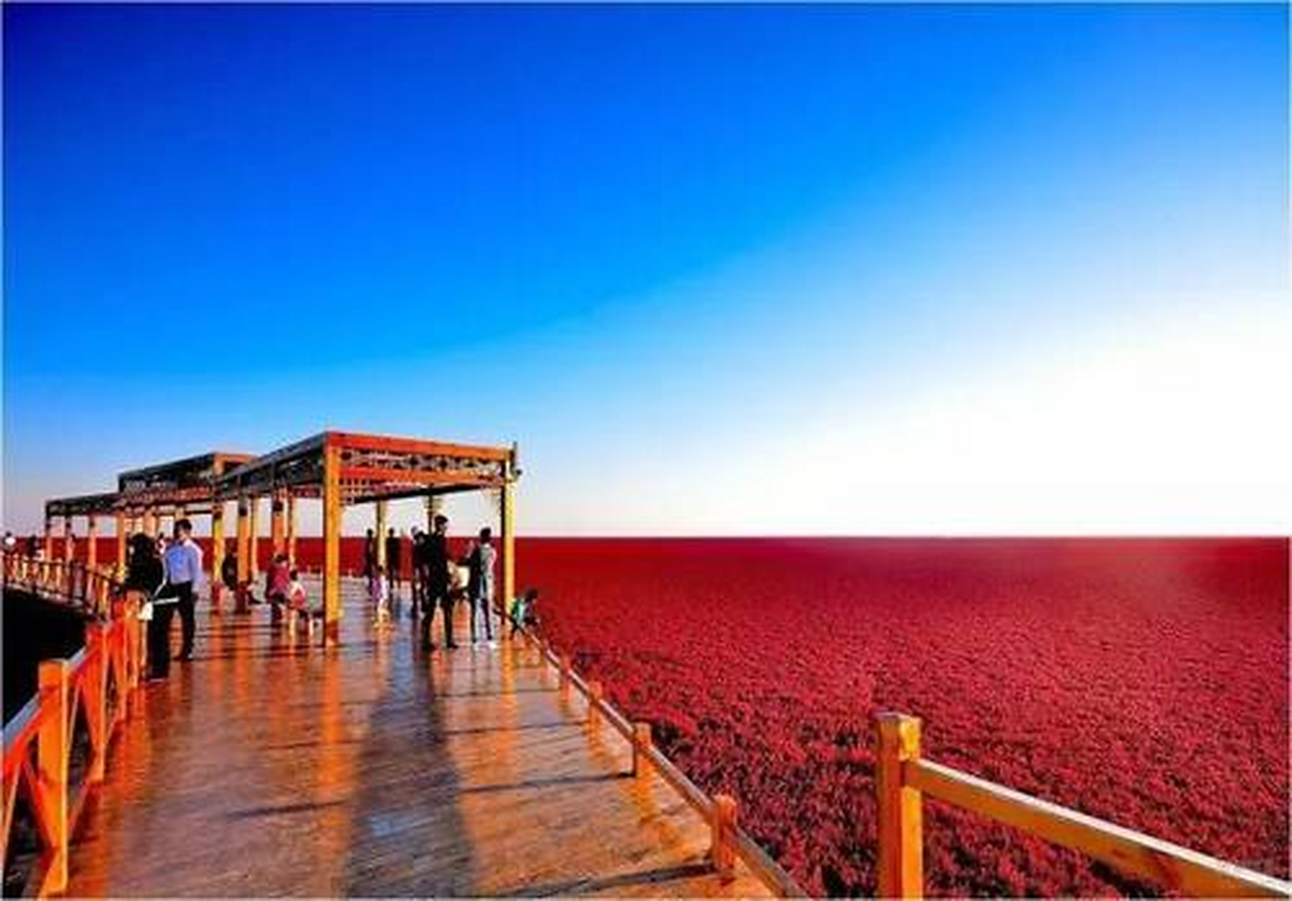 红海滩风景区坐落于辽宁省盘锦市大洼县赵圈河乡境内,在这里都是以红