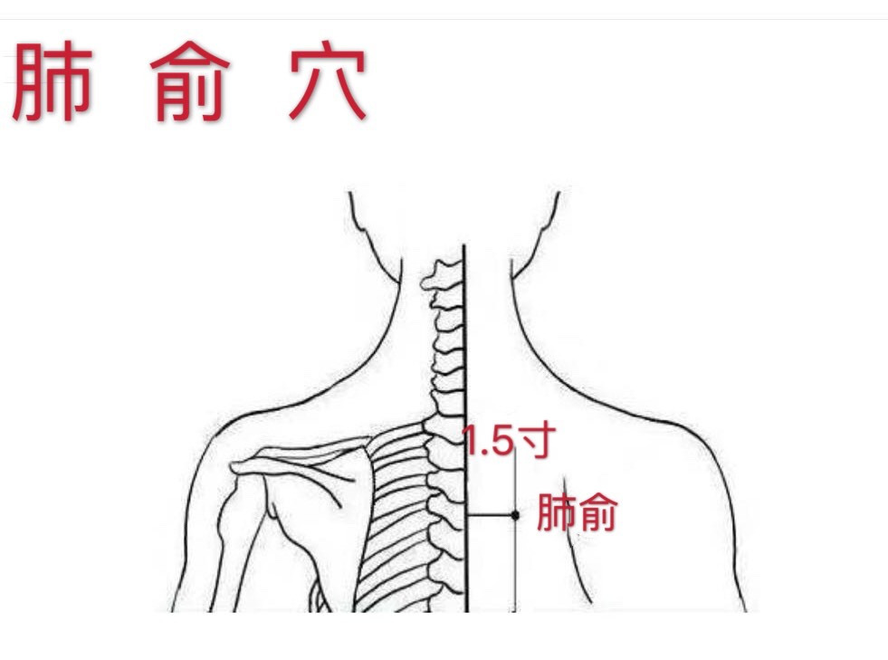 調理流感的必備穴位-肺俞穴