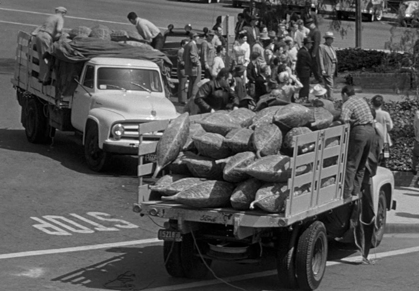 电影:天外魔花(1956)