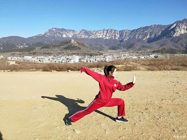 经典的大小洪拳,七星拳,昭阳拳,还有少林通背和一些象形拳(比如蛤蟆拳