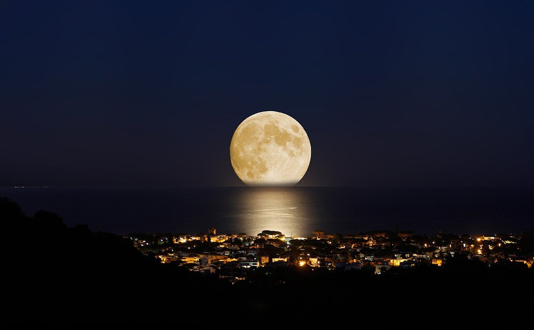 故乡月光简谱_月光下的凤尾竹简谱(3)