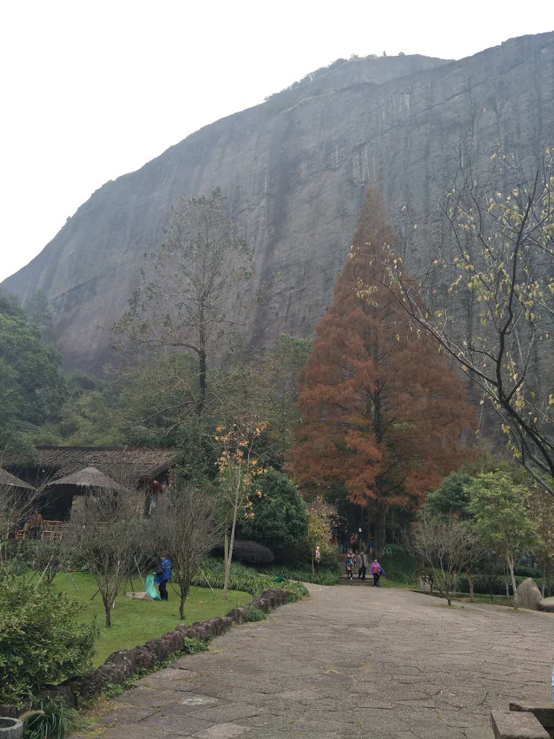 岩骨花香漫游道:小桥流水人家,古道西风茶香.