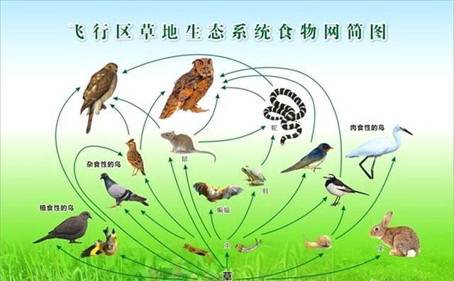 生物的生存除了需要一定的自然条件外,彼此之间也是相互影响的吗