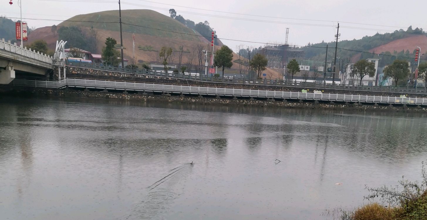 故乡的烟雨,柳岸清堤