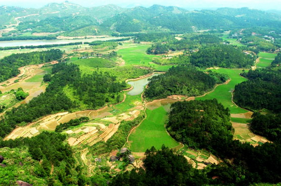 展品很多的梧州博物馆,空气很清新的戎圩古镇(龙圩镇).