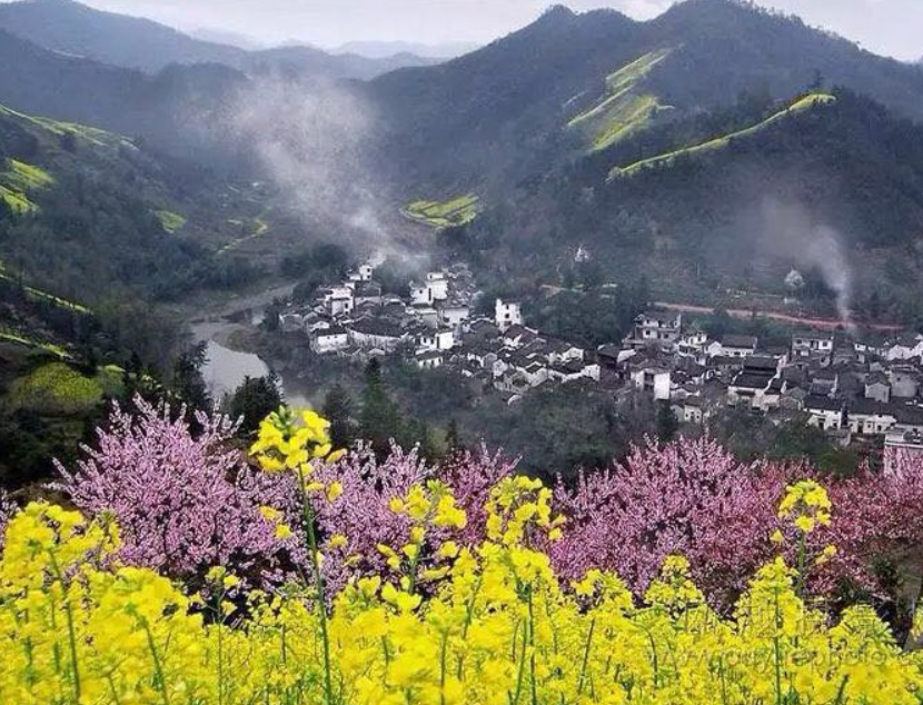 春夏季节之交——旅游拍摄江南乡村山野的油菜花开,桥边翠绿美景