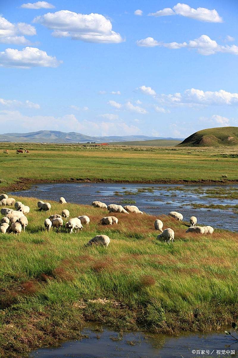 锡林郭勒大草原