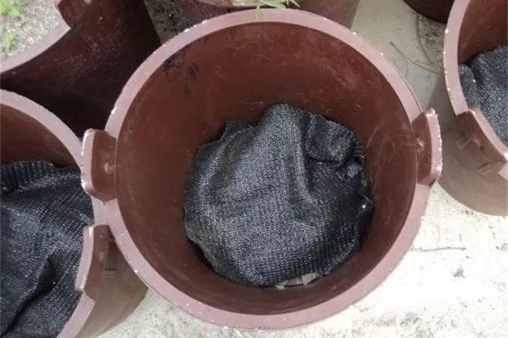 养花就得用粪桶,越养花越壮,不管也能开爆盆!