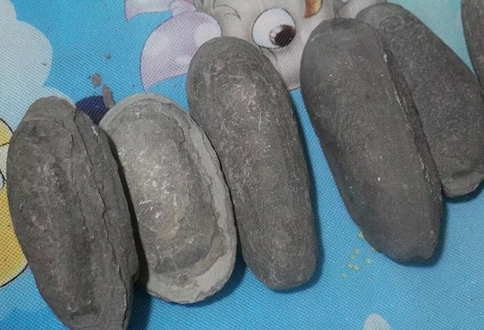 山沟中捡到椭圆形石头,小伙砸开一看里面全是鱼!