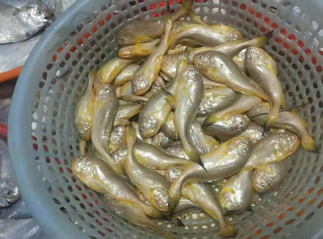 赛头- 热门商品专区