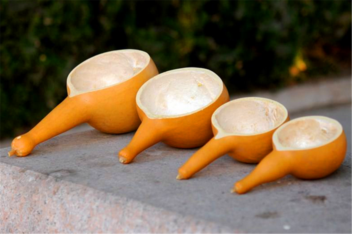 人们常说:"照葫芦画瓢",这句俗语怎么来的?有何历史渊源