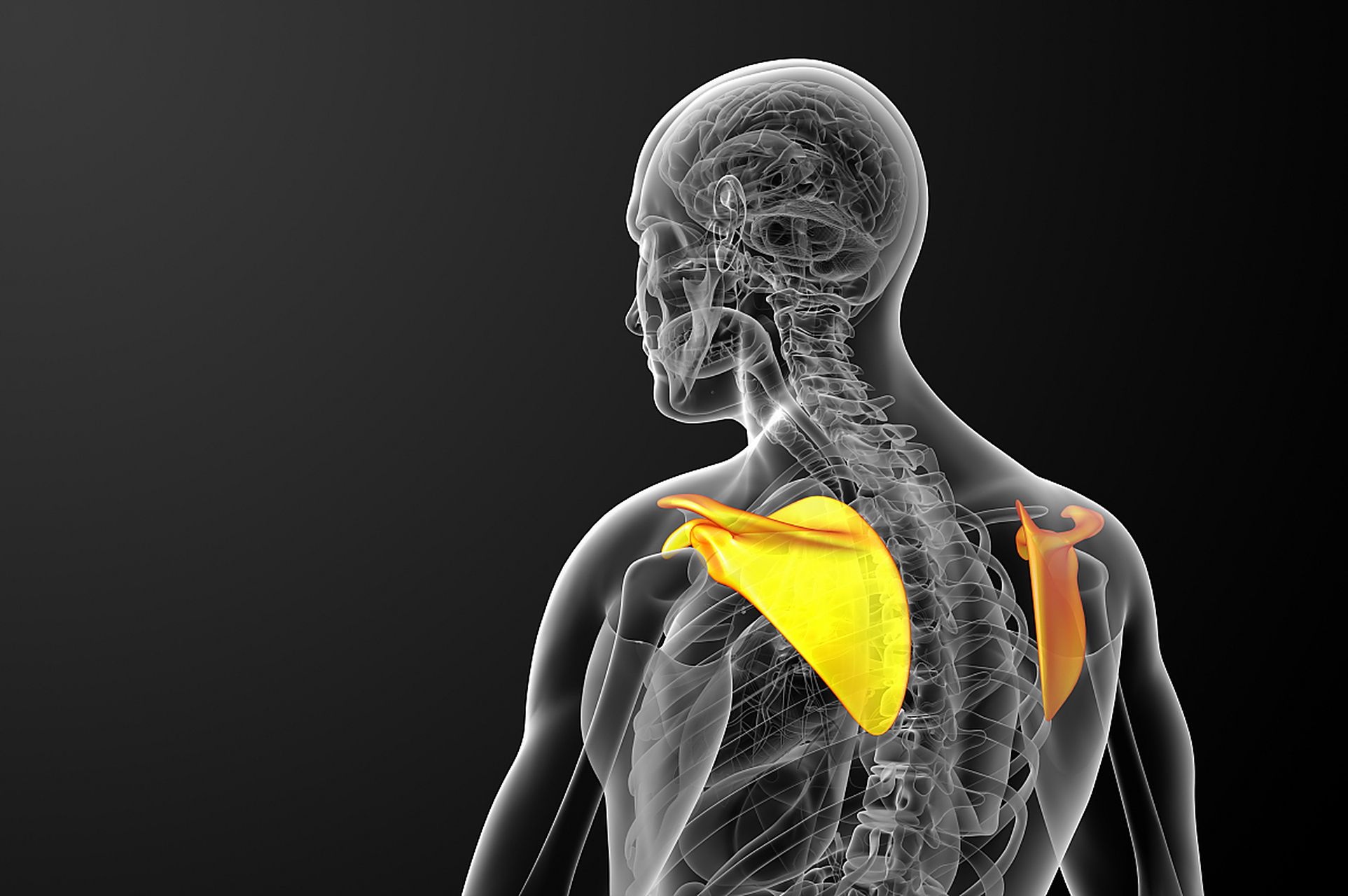 肋间神经痛出现5种症状要小心 肋间神经痛是由于肋骨附近的肌肉和神经