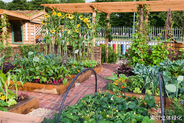在庭院中设置菜园功能,可以将可食用作物或非食用的花卉种植其中,增加