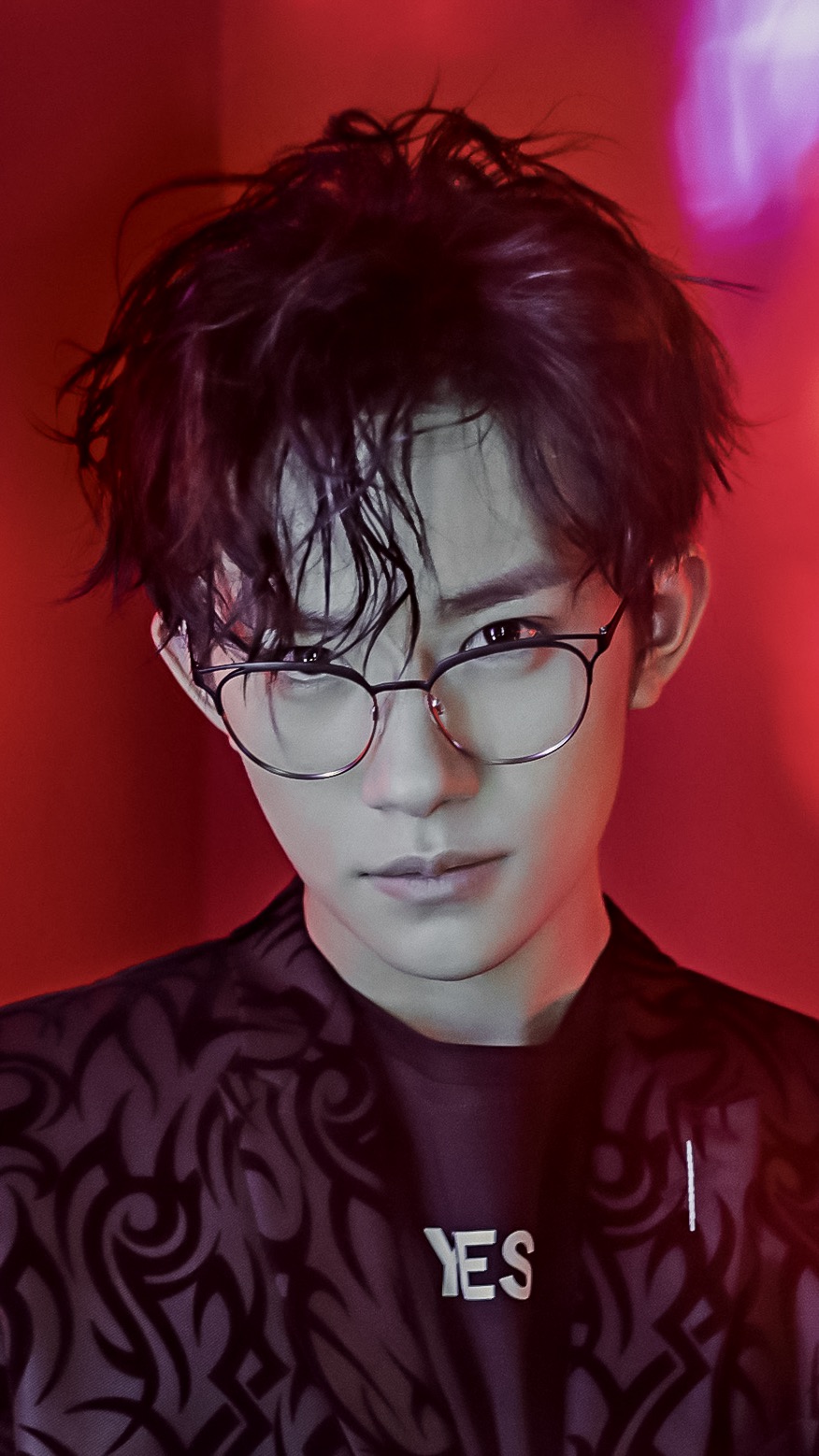 易烊千玺抱着流浪猫拍大片,家里的二十石榴突击队长哭晕在厕所