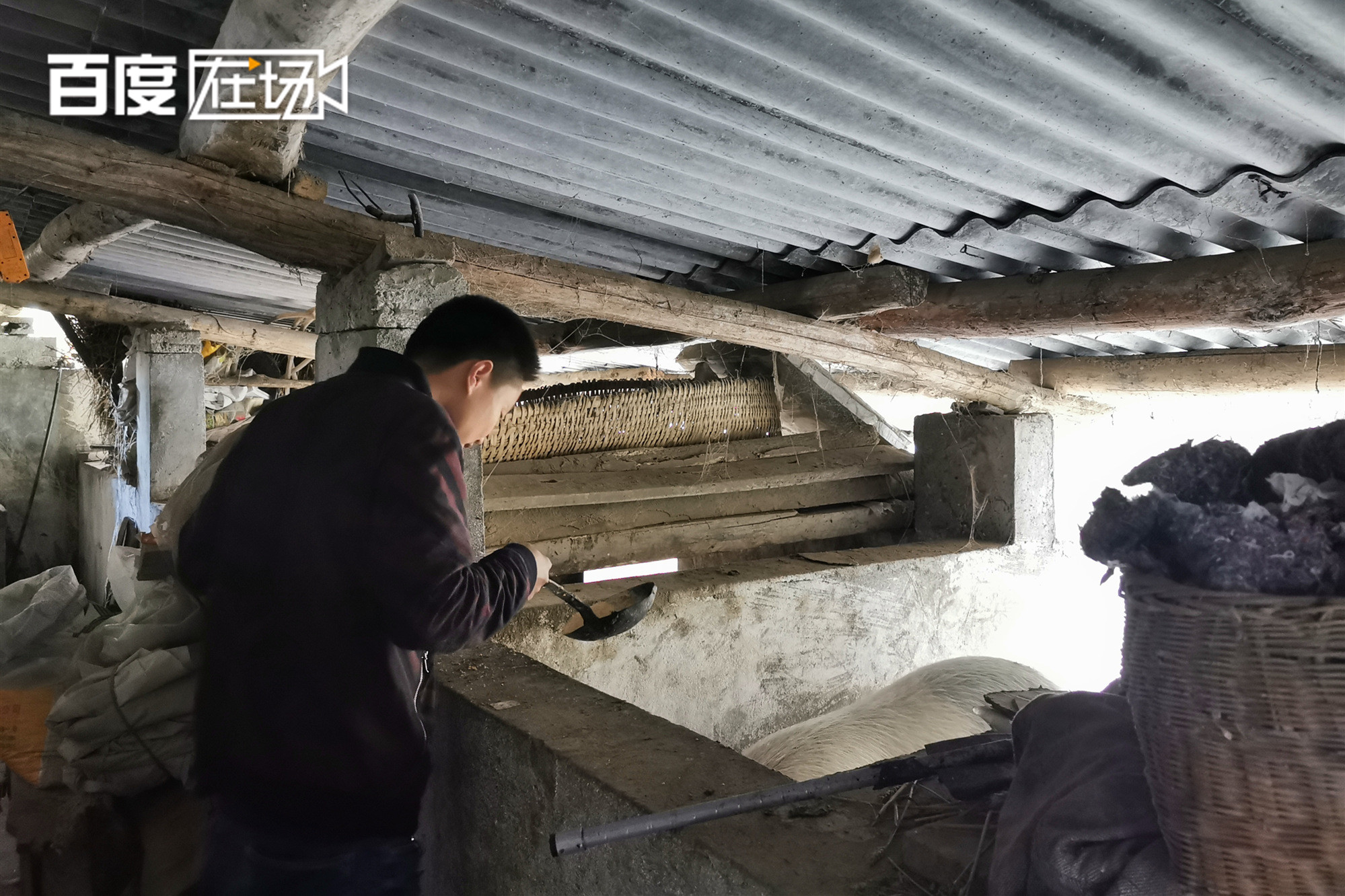 80后小伙下煤窑落下残疾,如今年入5万,网恋娶小8岁娇妻