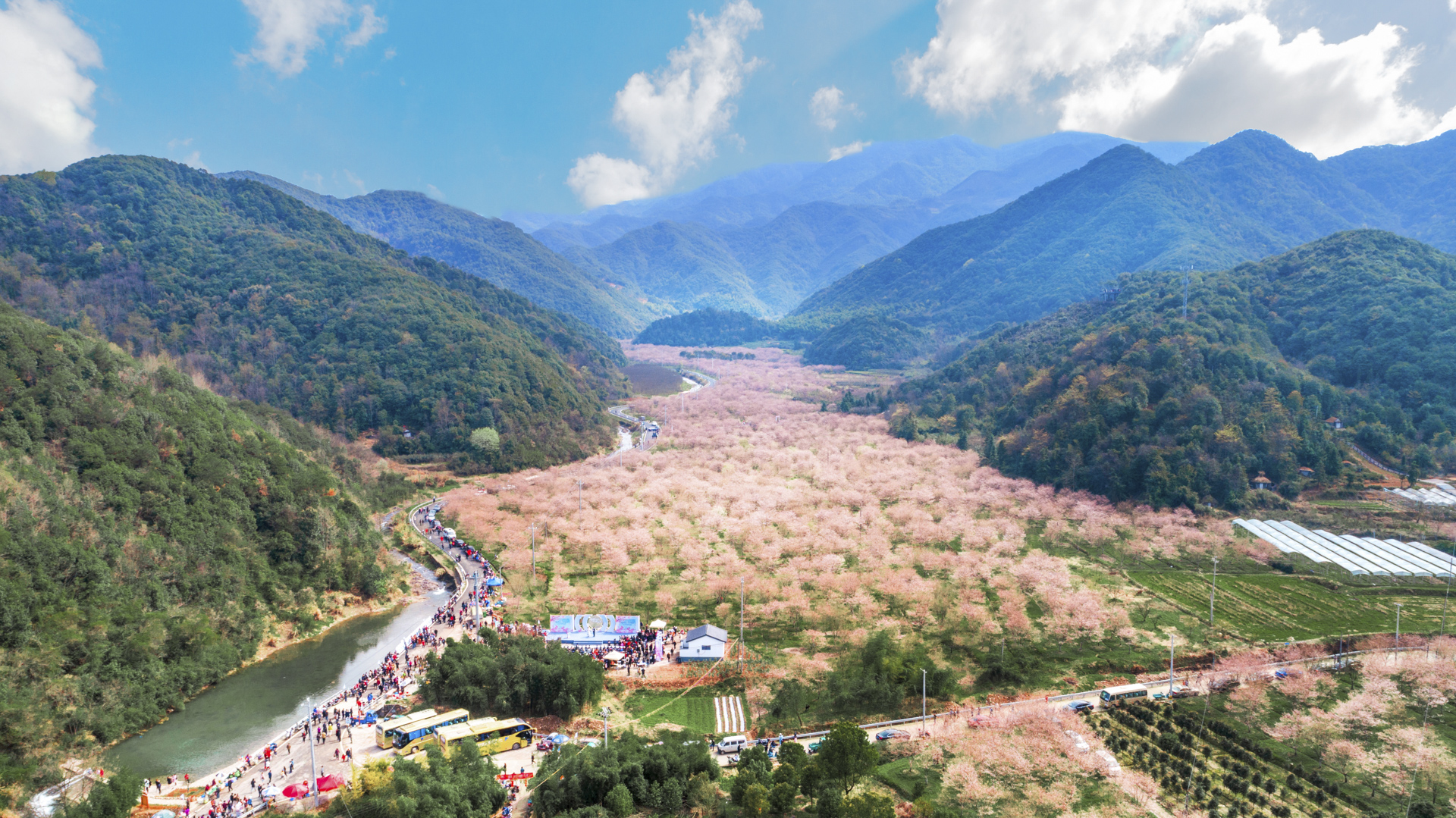 赏樱花何须去日本,自驾上虞坐拥600亩樱花林,关键人少还免费