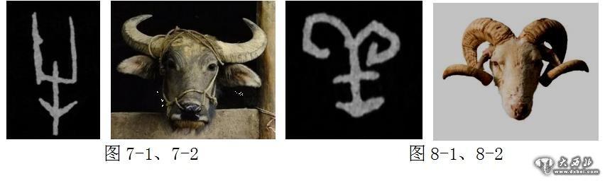 西北师范大学美术学院史忠平教授《书法与自然》之观物取象(二)