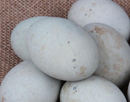 鸭蛋表面发霉或长癍的这种鸭蛋千万不要再吃,因为鸭蛋长时间处于潮湿