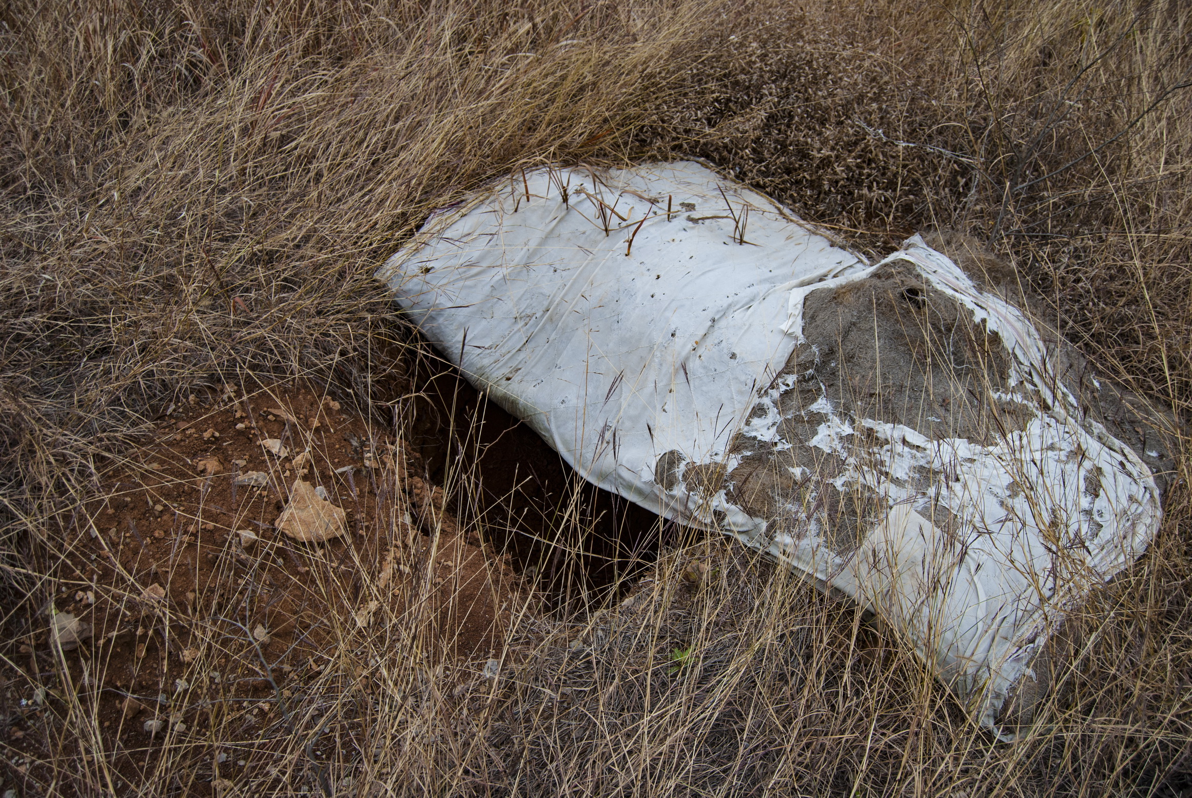 冬日徐州拉犁山寻找皇姑坟,站在坟头上才能体会什么叫椅子坟