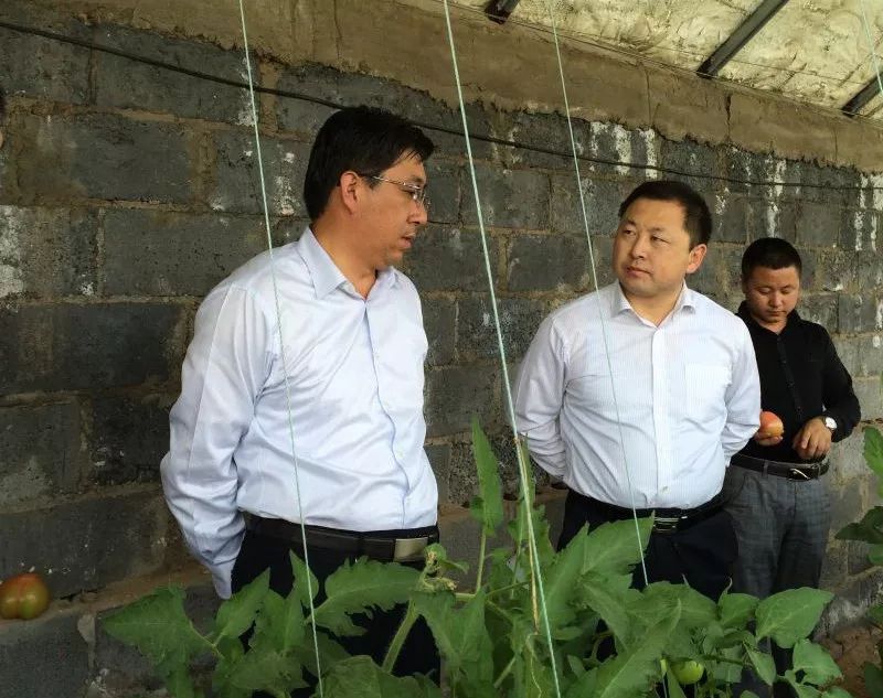 张元树:把责任和爱心一肩扛