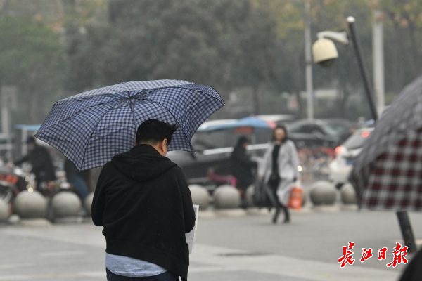 冷风冷雨图片