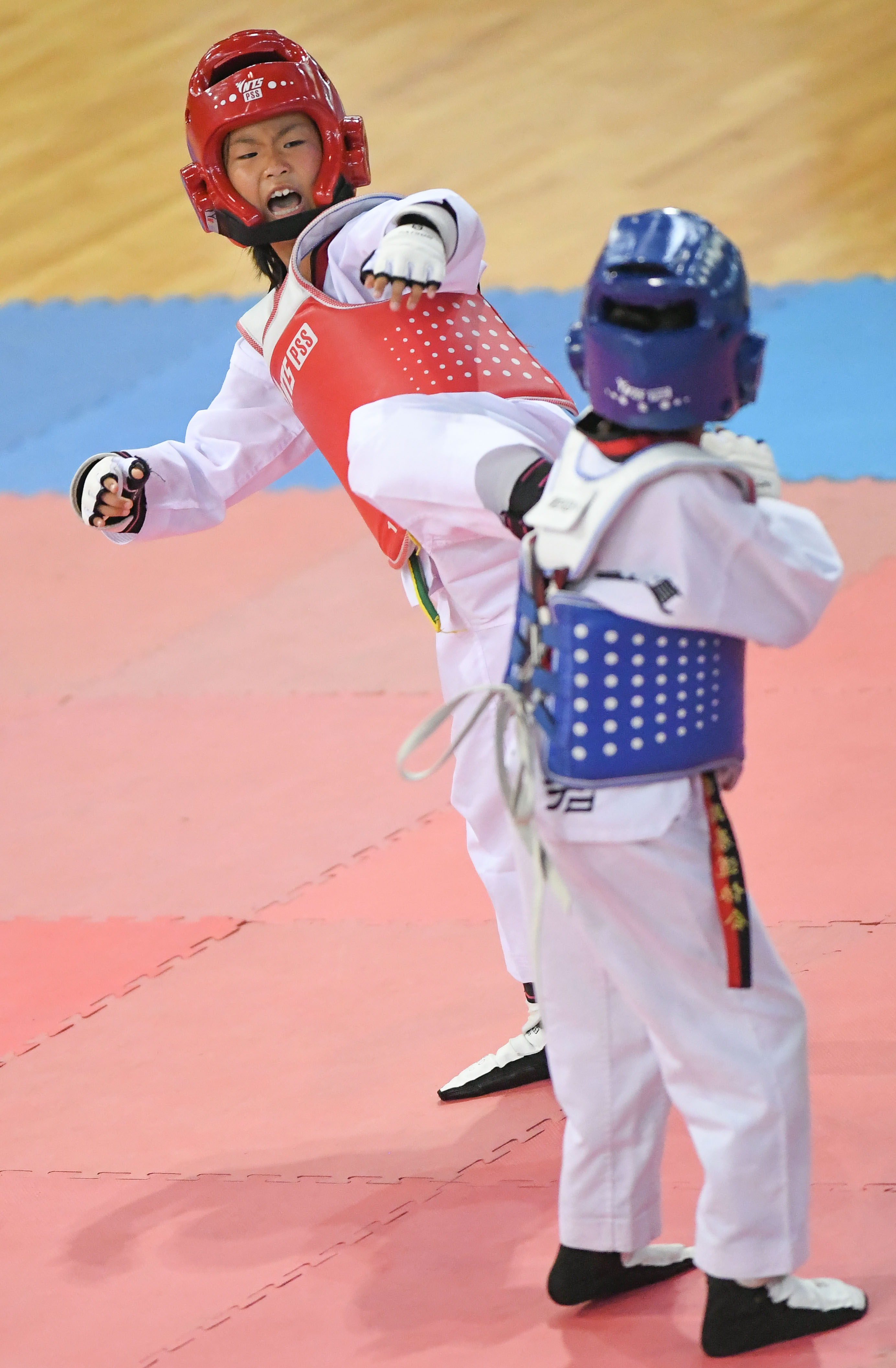 跆拳道——快乐暑假 踢!踢!踢!(5)