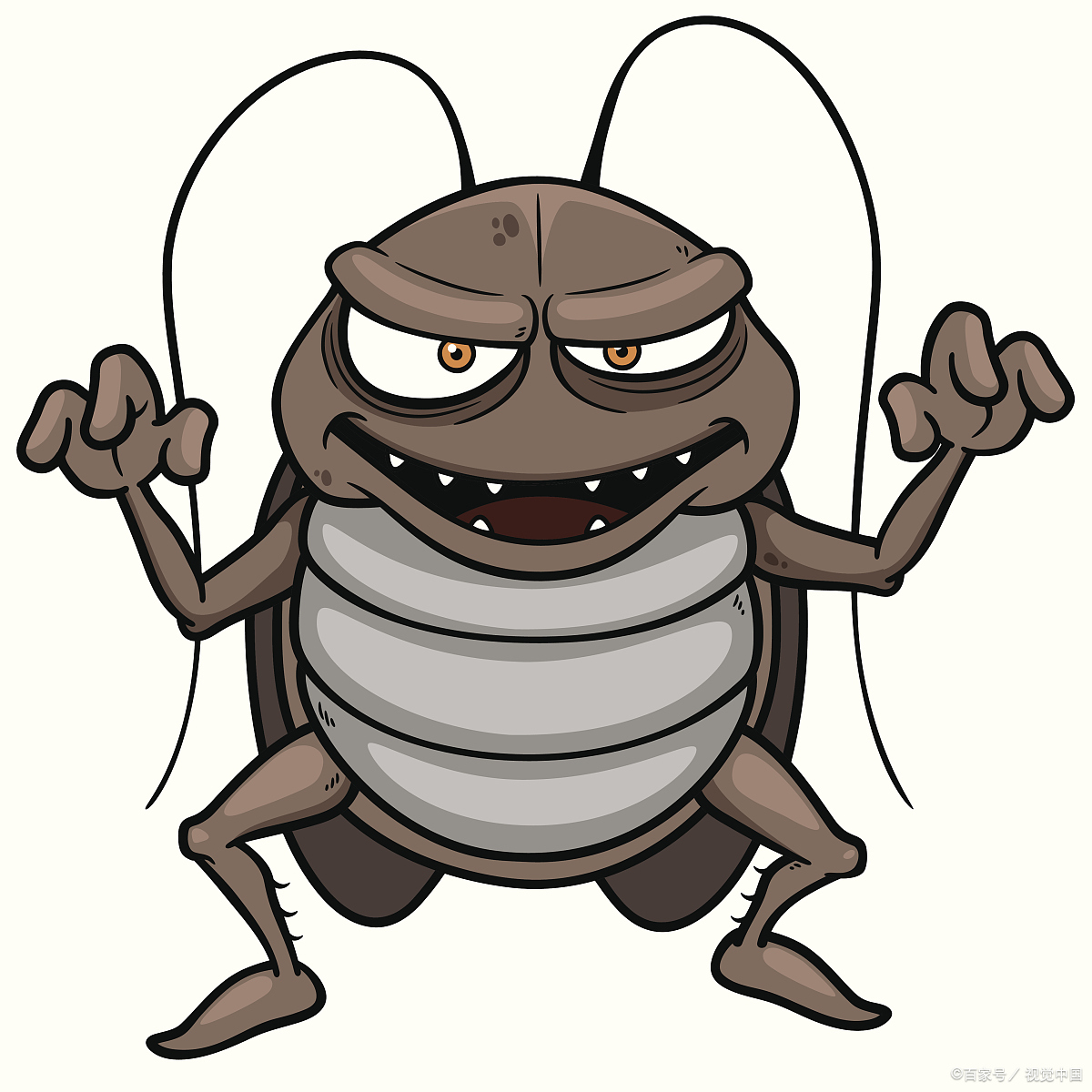蟑螂照片漫画图片