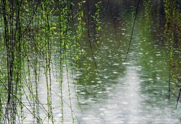 三月春雨润如酥!