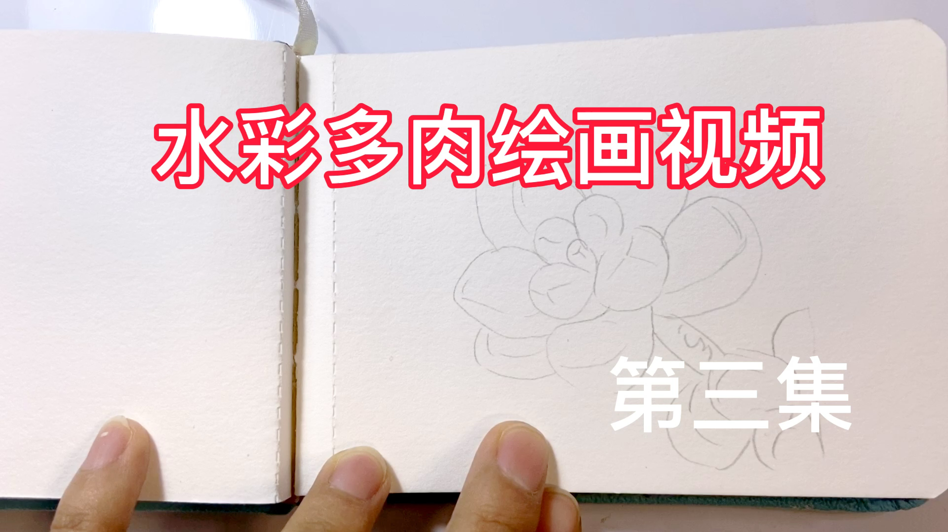 水彩多肉植物绘画视频,第三集