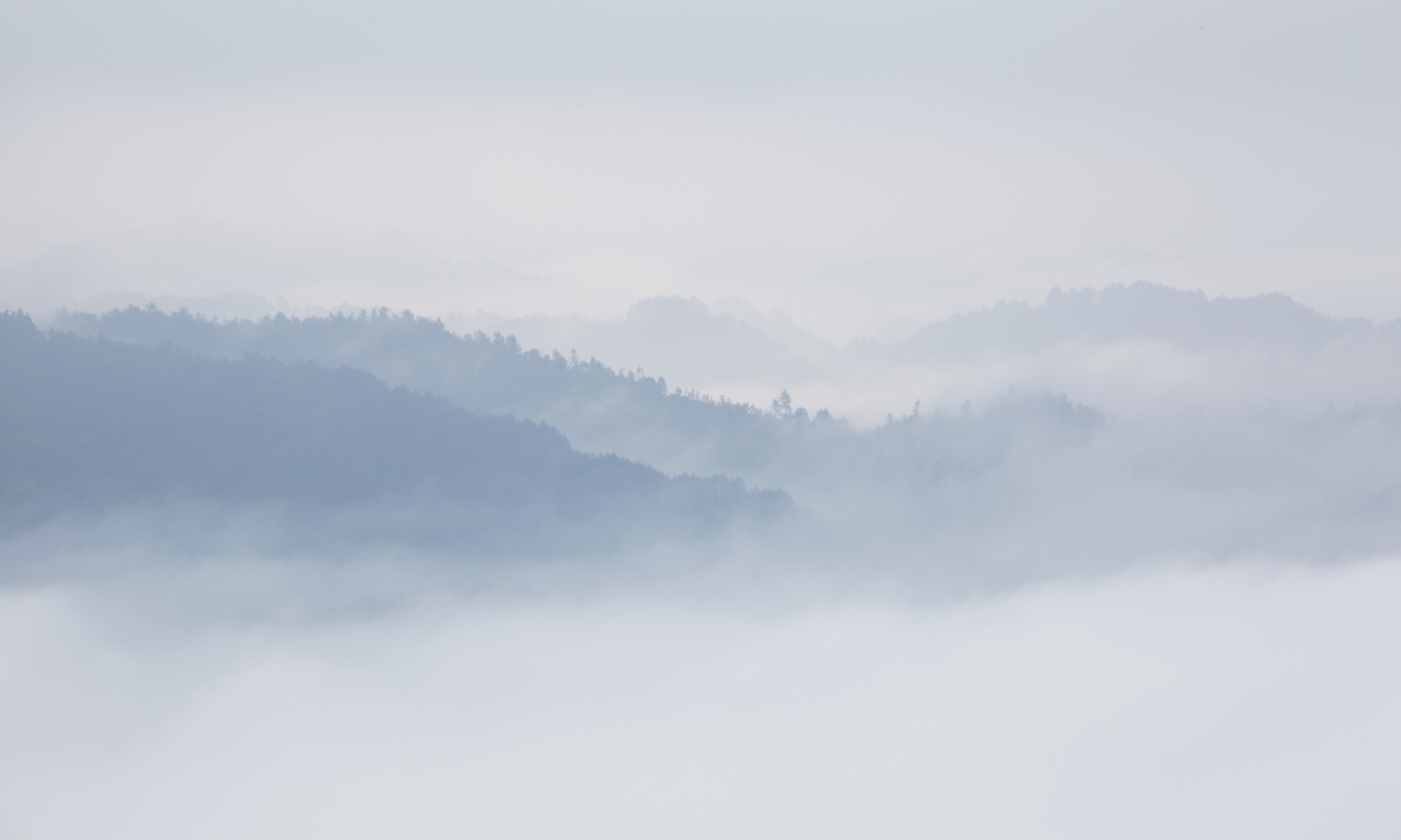 珠光灼灼,难掩其华,触不可及的水墨画