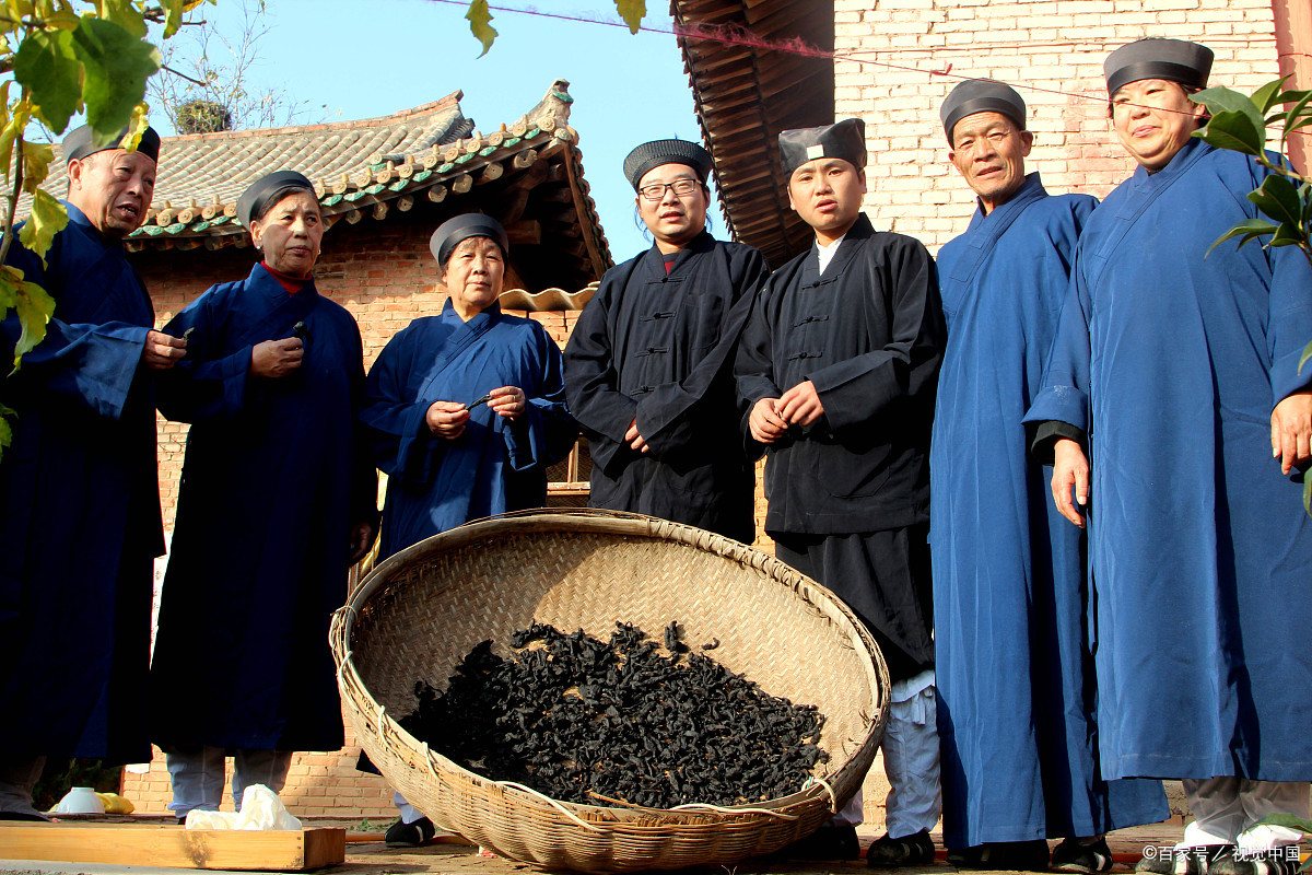 终南山老道长:修行的境界越高,感知能力则越强