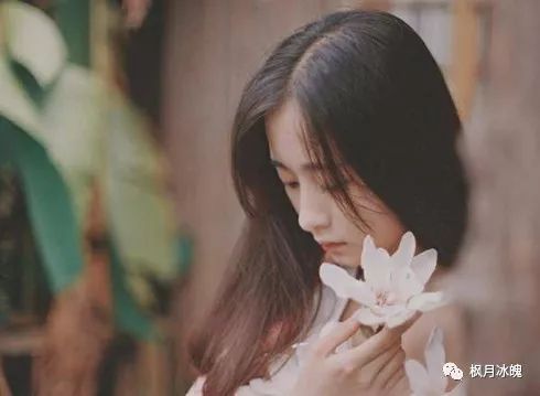 枫月随记#第12期