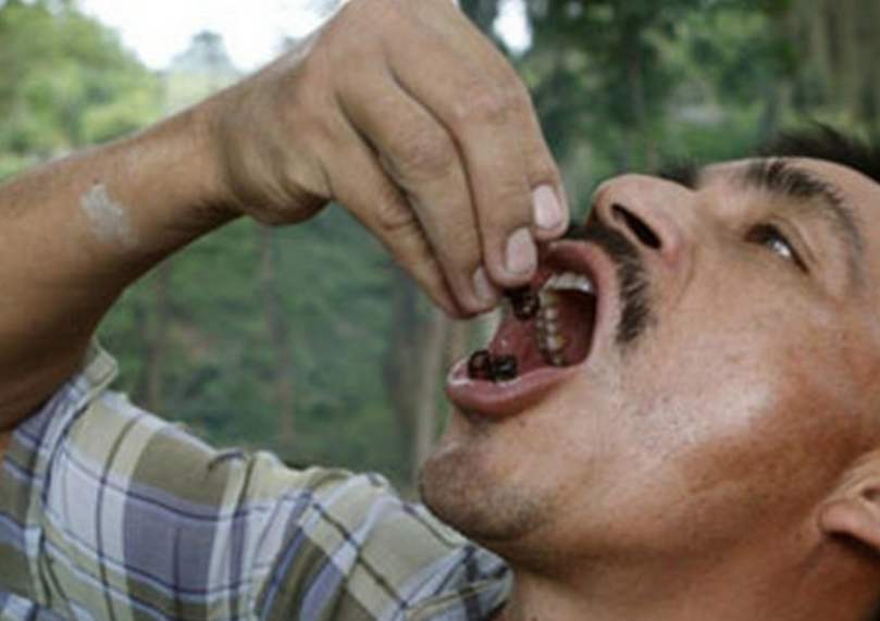 吃蚂蚁"上瘾"地方,一口一个嘎嘣脆,网友:但凡有粒花生米也好