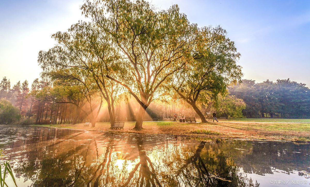 问人忙忙碌碌为什么就如同问一棵树为什么要晒太阳