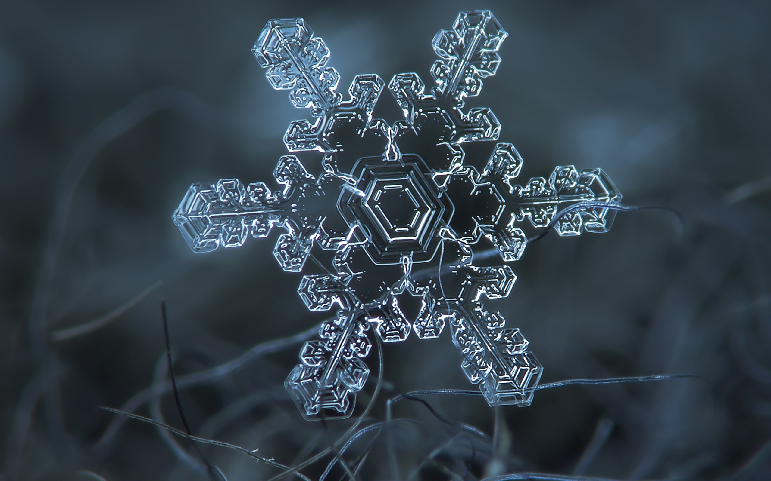 玲珑剔透的雪花,高清壁纸,摄影图片,静物写真