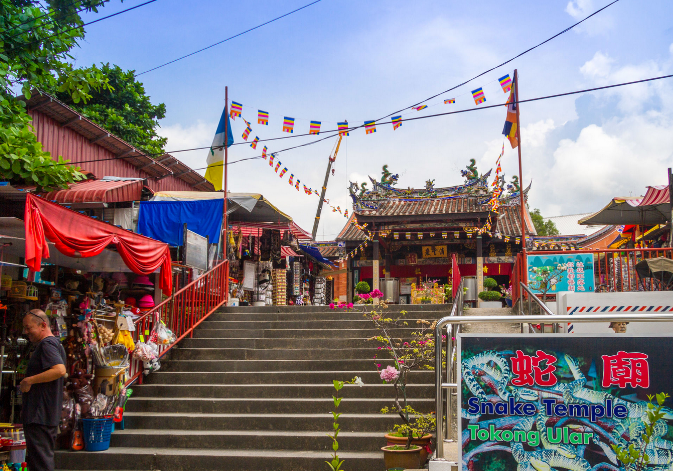 槟城蛇庙——有上万条毒蛇却从未伤过一人