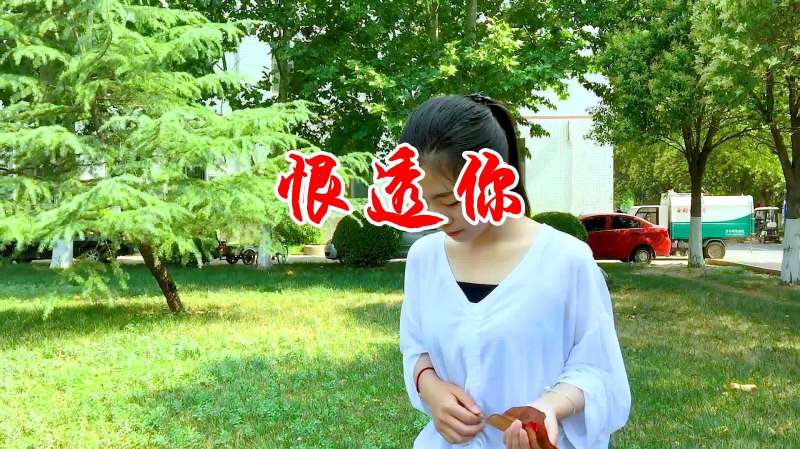 女歌手一首感人民谣恨透你唱得撕心裂肺听哭了多少苦情人