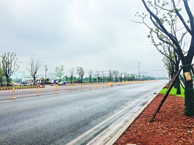 黄家湖大道变身景观大道