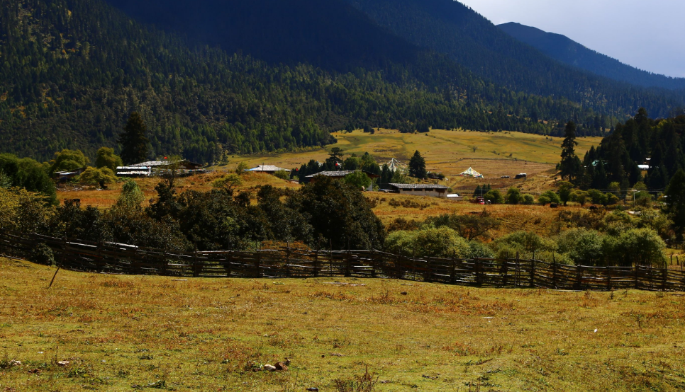 波密森林强大,山高谷深,一个旅游好景区