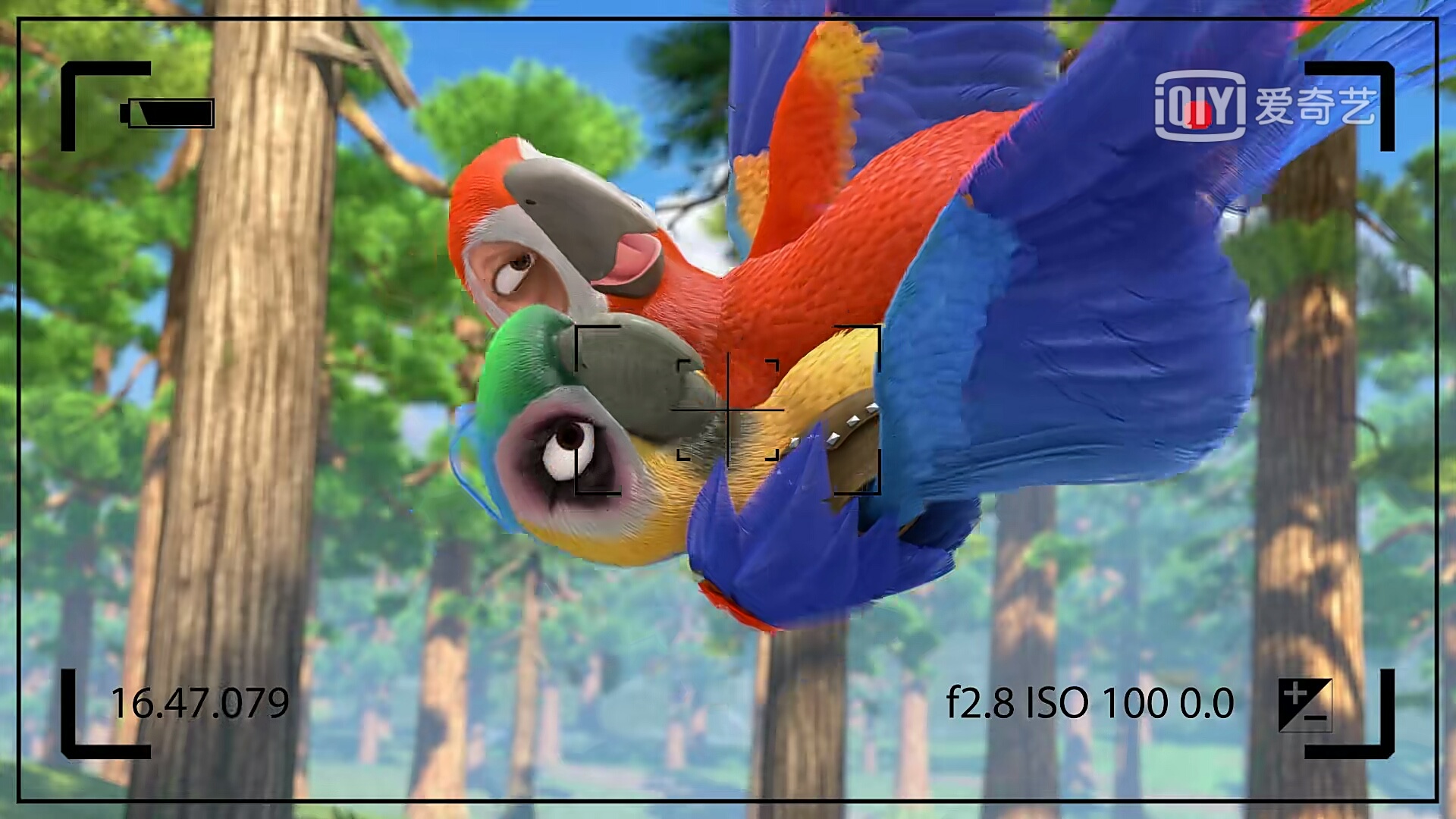 熊出没中会飞的小动物,团子妈妈的翅膀很漂亮,小满好励志!