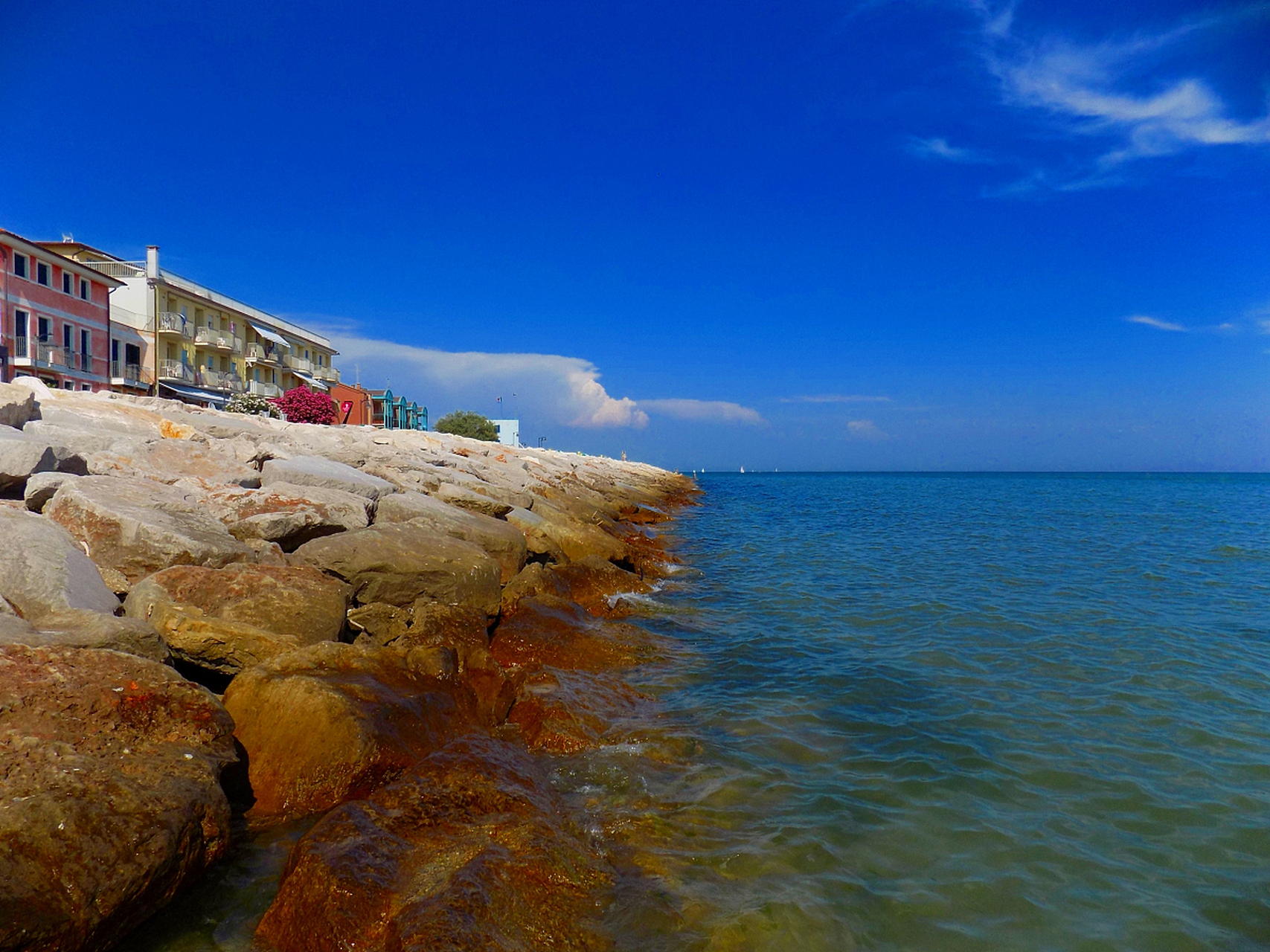 镜头里的春天# 春季旅游大墩海的深处,隐藏着许多未知的秘密.