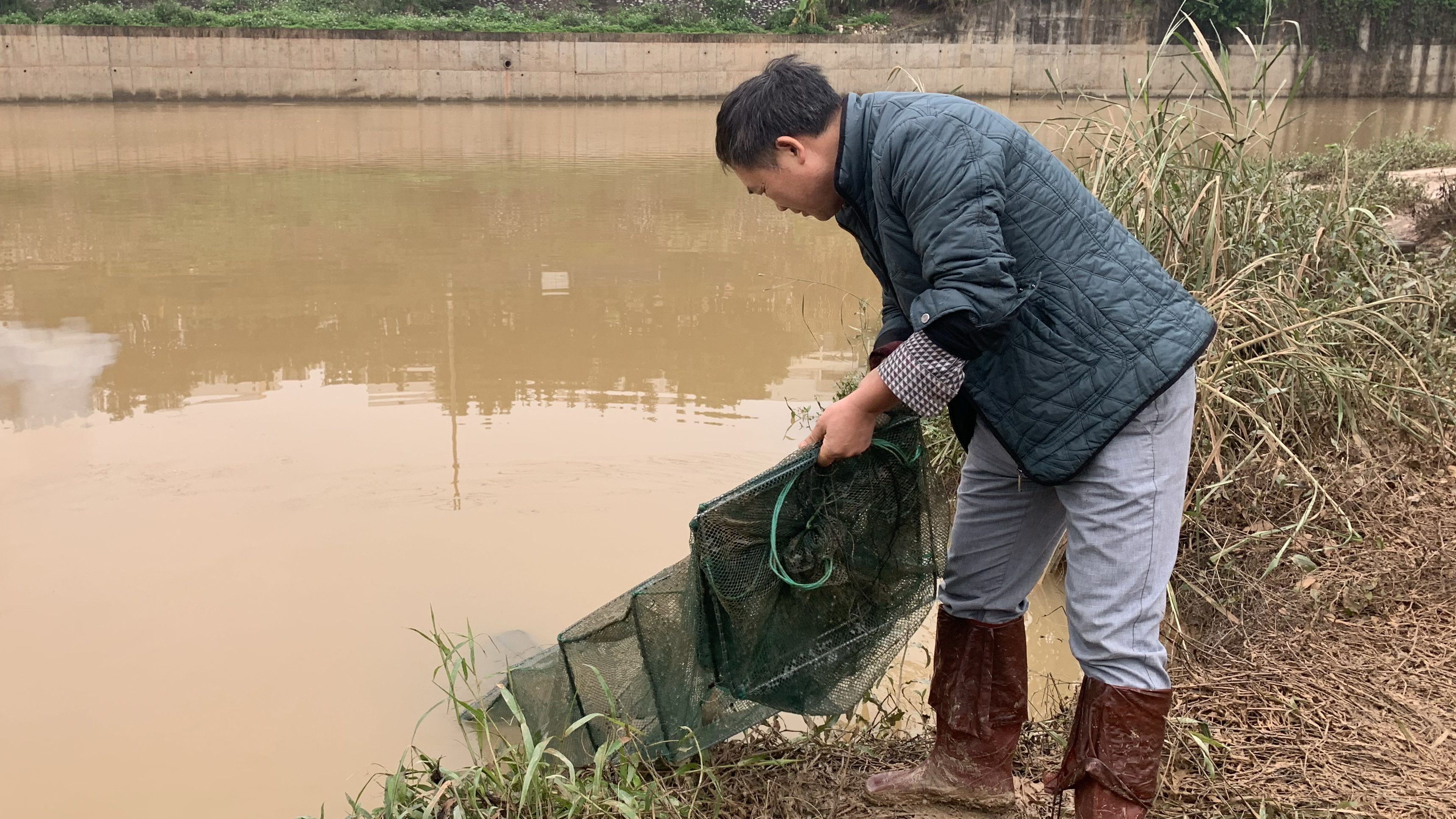 阿廖放地笼,得了条五十块一斤塘角鱼,和几条小鱼
