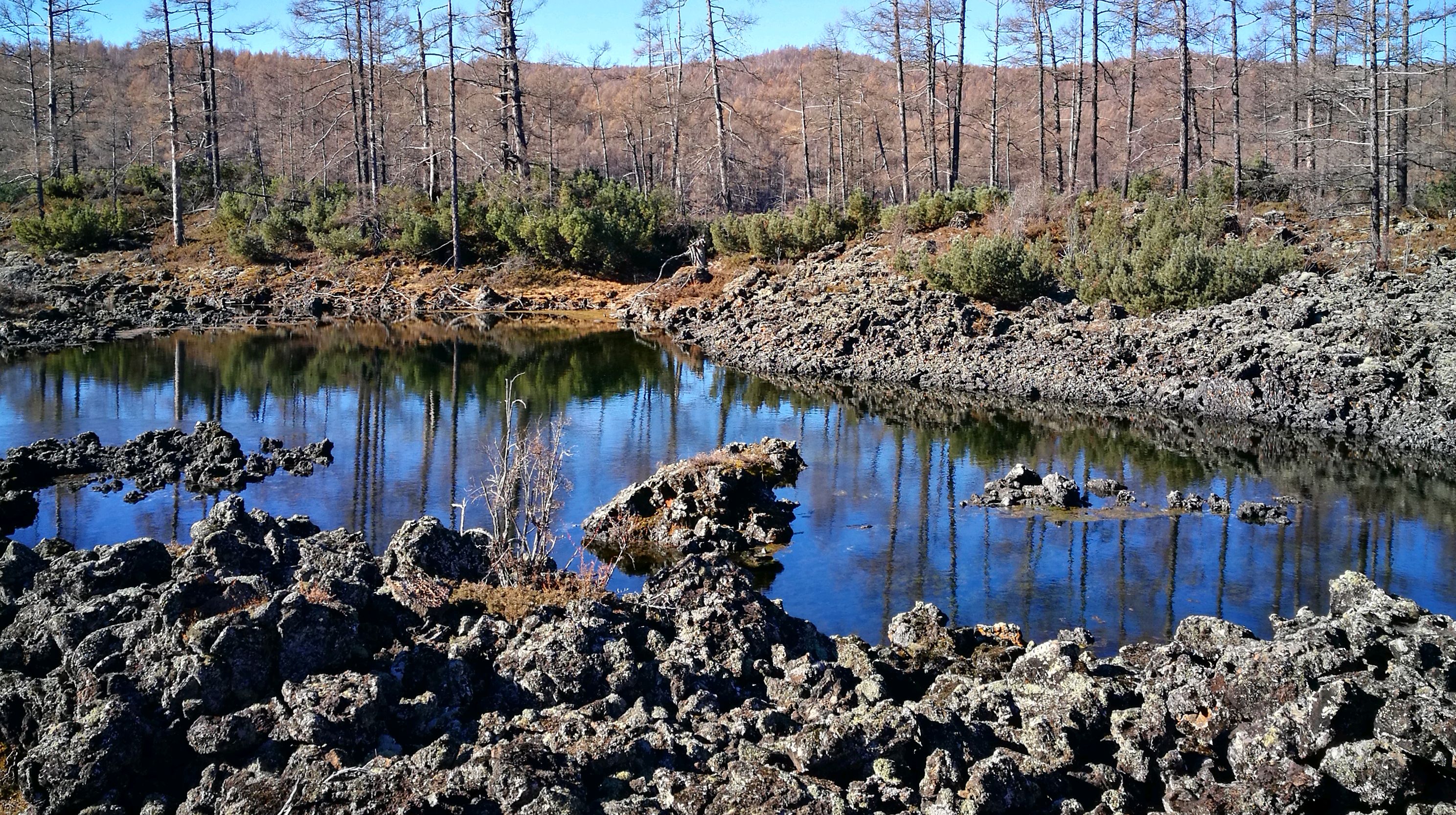 游览阿尔山国家森林公园石塘林