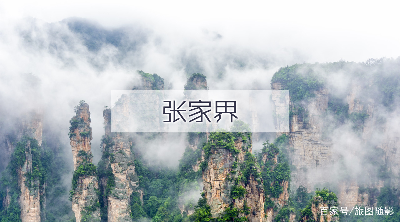 国内有(国内有多少日本人)