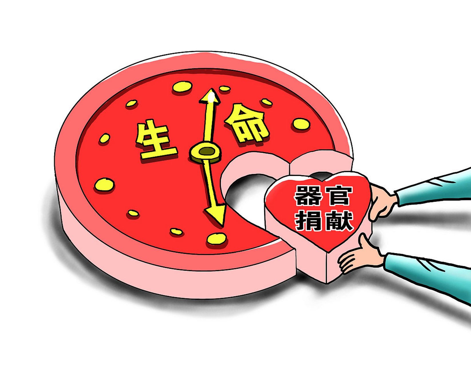 "人体器官移植"应该全部禁止,不能让他合法化.