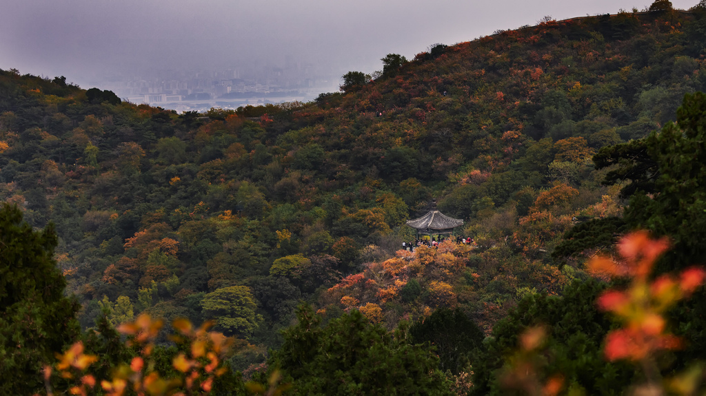 北京西郊有座香山公園,你知道這裡嗎?