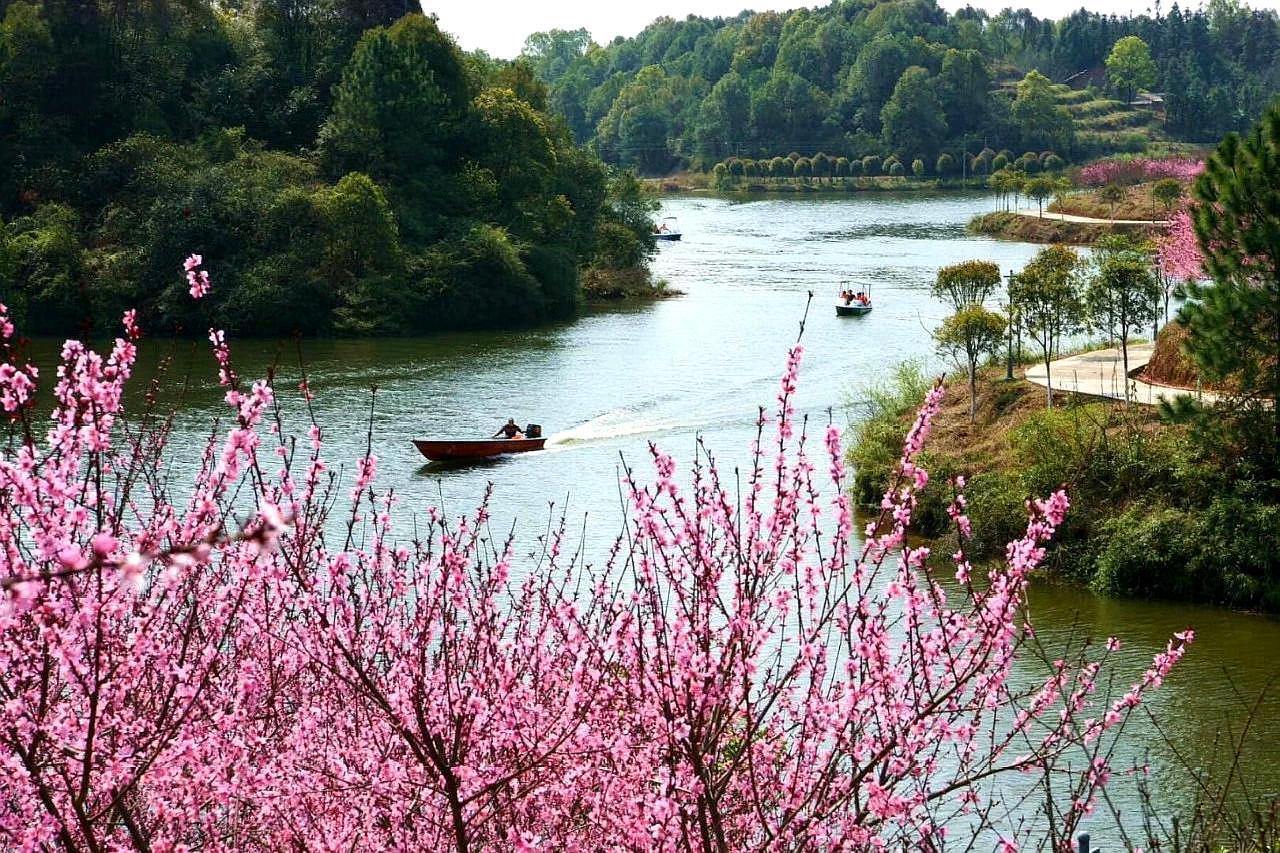 这里是醴陵,清水湾畔桃花谷