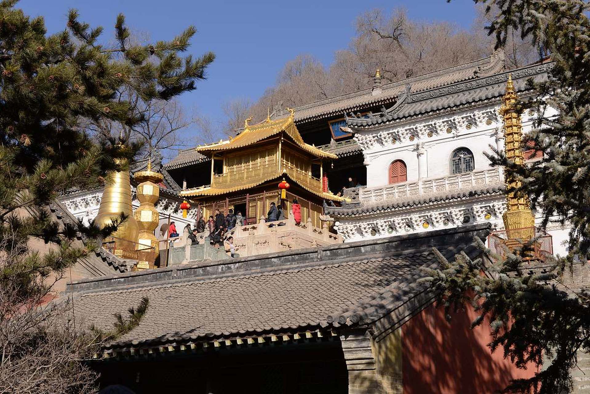 摘要:本文讲述了作者通过朋友莹莹的建议和攻略,选择