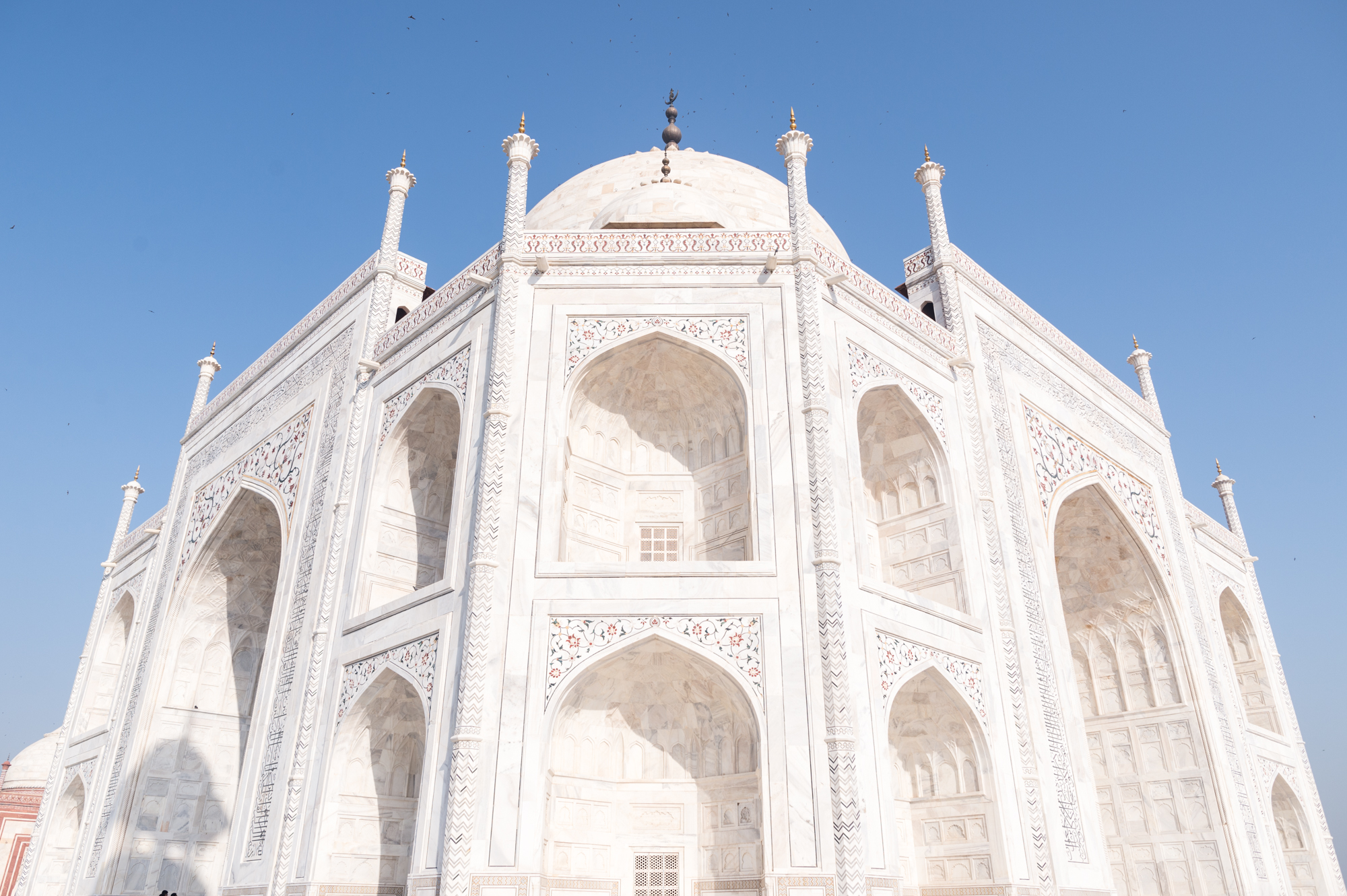 实拍印度泰姬陵,穆斯林艺术最完美的瑰宝,有着浓郁的异域风情!